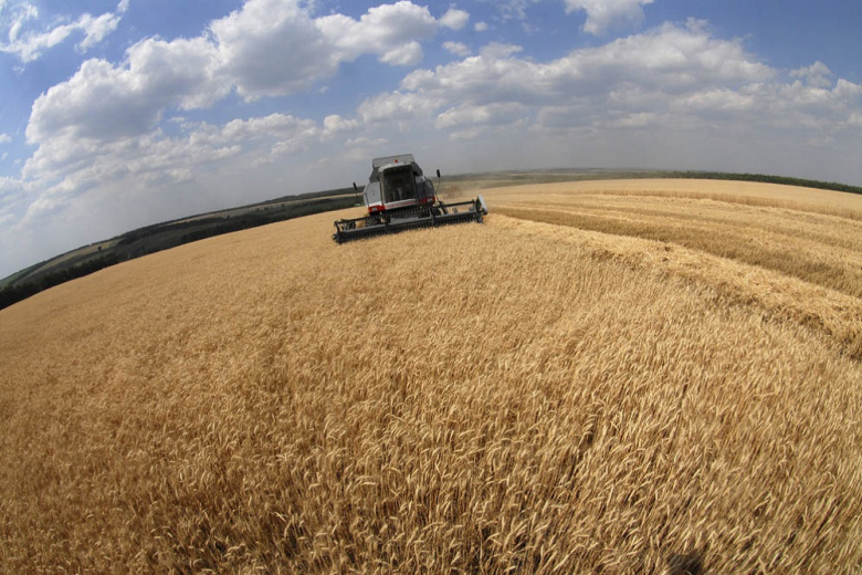 В России цены на пшеницу упали до рекордно низких значений
